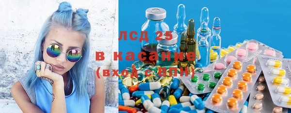 мяу мяу мука Алзамай