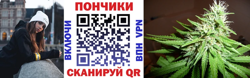 Канабис гибрид  закладки  Белоозёрский 